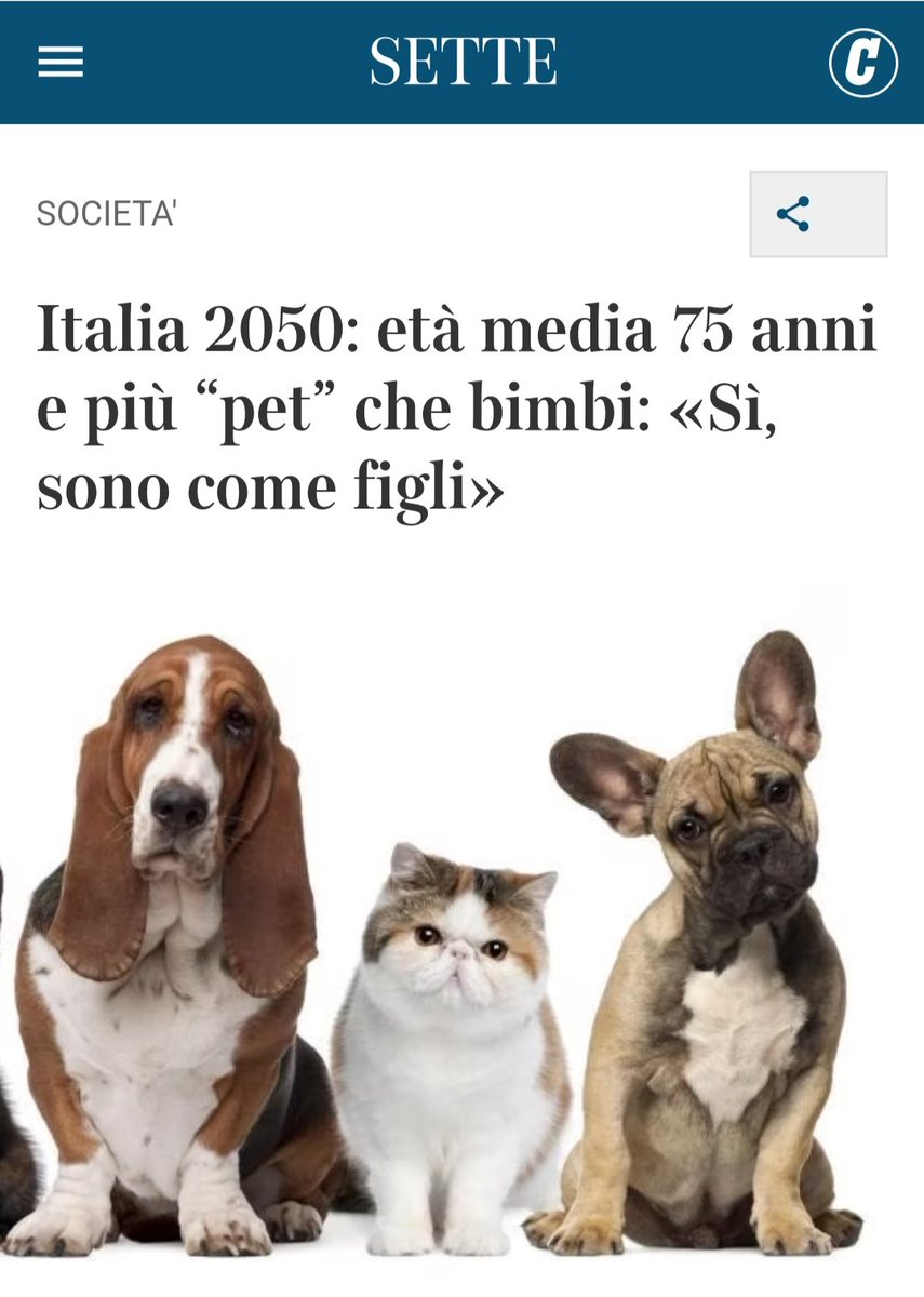 AngieStramazzi's tweet photo. Per il Papa ❤️ https://t.co/eSK4Ze8AXP