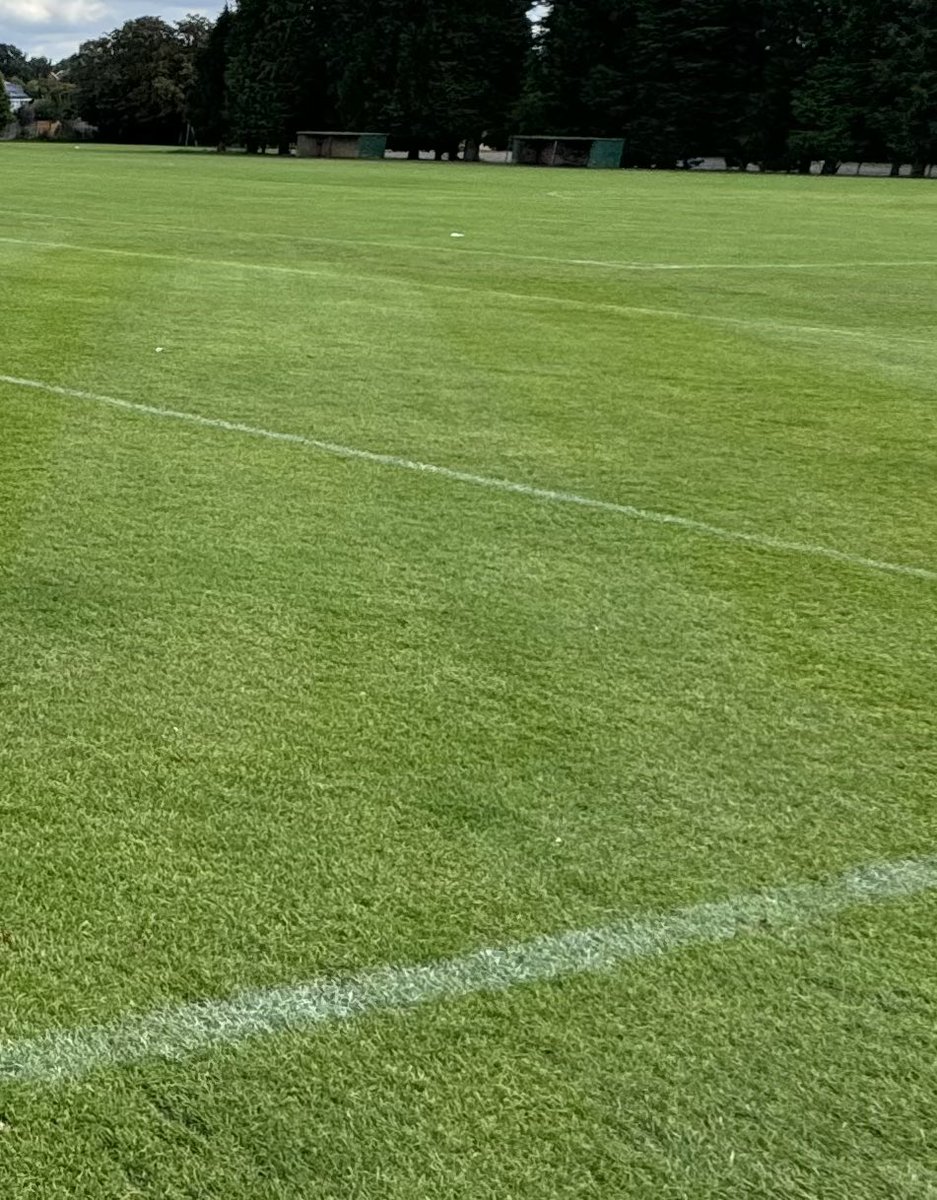 GroundsmanG's tweet photo. Looks like all the pre season hard work is paying off. Double pass disc seed, slow release fert and vertidrain. Our 6 pitches are looking pretty good not bad for a #parkpitch @thegma_ @EnglandFootball @CrawleyGreenYth @BedsFA @CGFC2024 https://t.co/ZUGFopRBFI