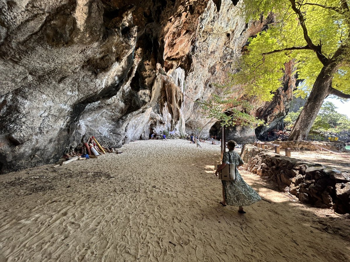 Steve Tatham tweet media