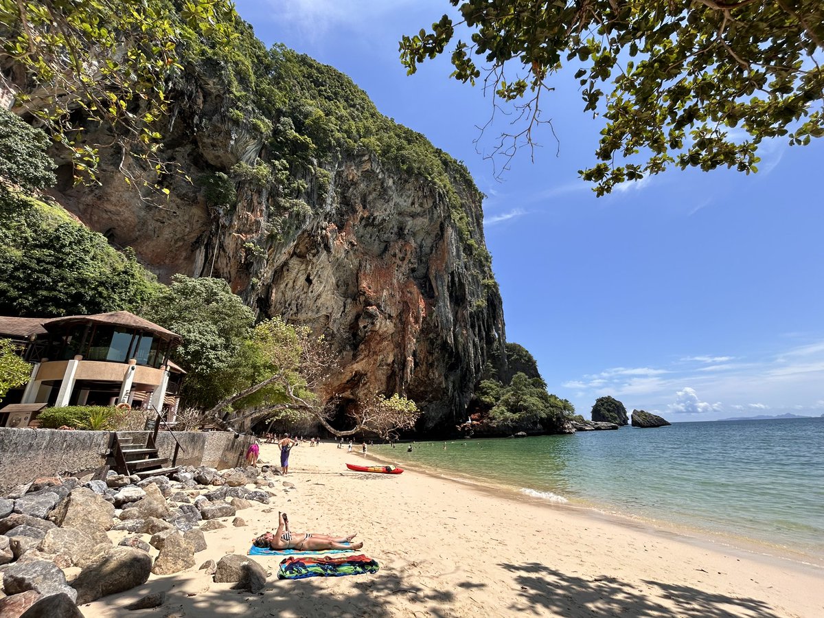 Steve Tatham tweet media