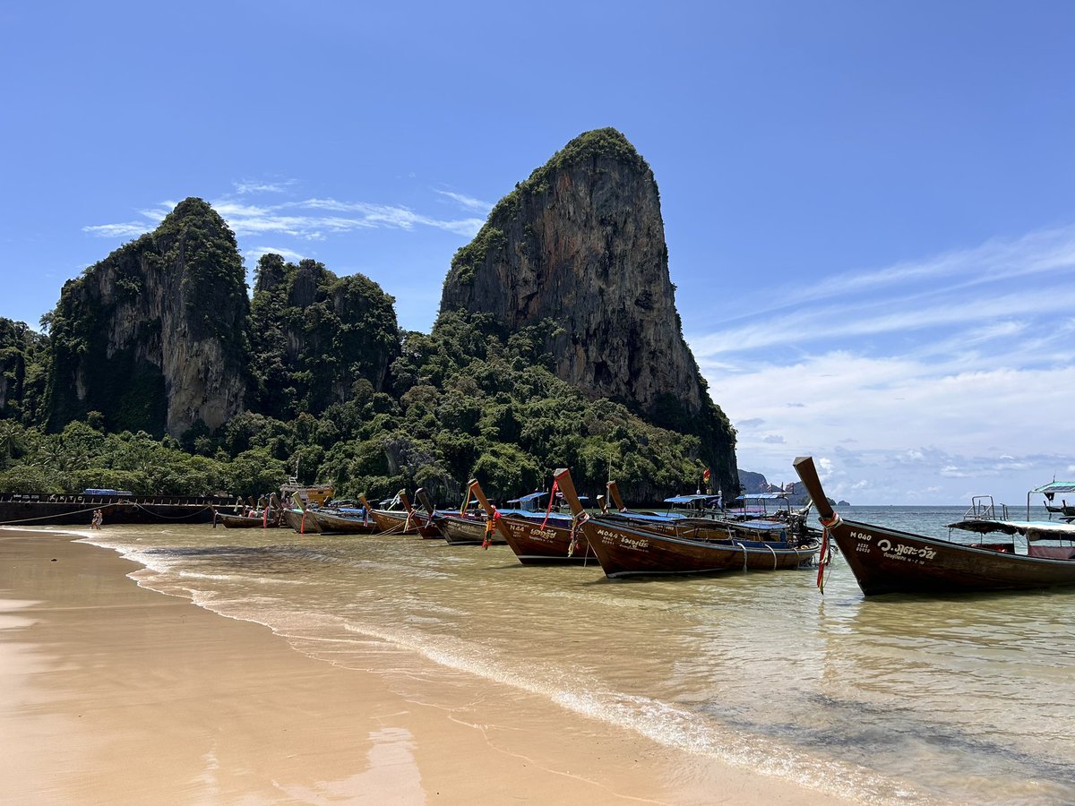 Steve Tatham tweet media