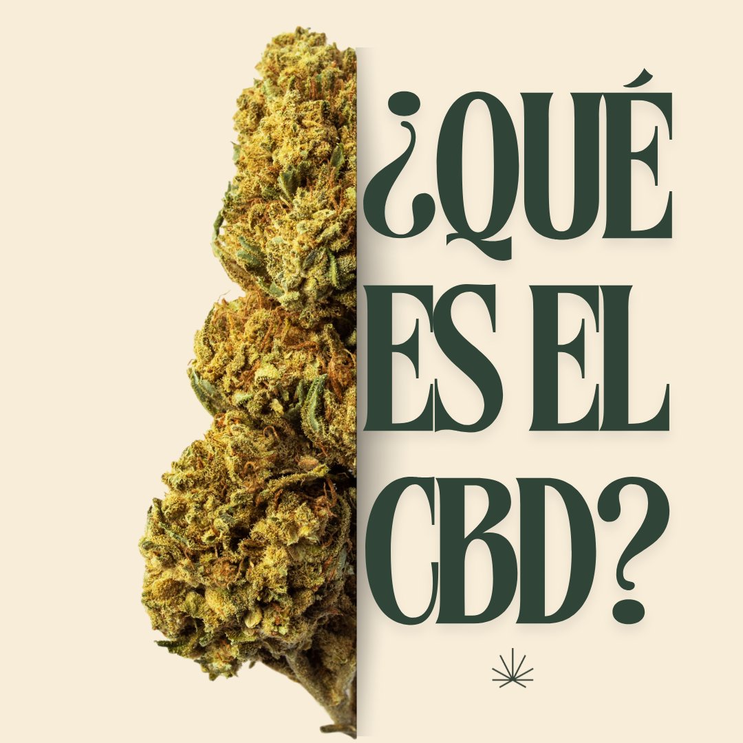 ProfesorCBD tweet media