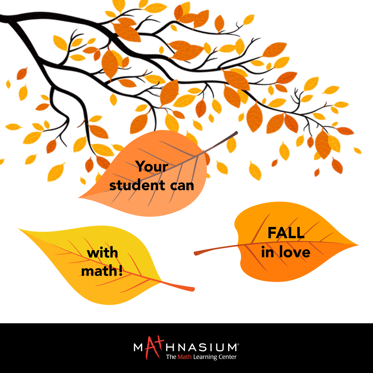 MathnasiumDUN's tweet image. Mathnasium of Dunkirk helps kids who need to catch up, keep up, or even get ahead. 🧑‍🎓 💯 🧠 Come see us today! mathnasium.com/math-centers/d… #mathnasium #mathtutor #tutoring #mathskills #mathgrade #mathtest