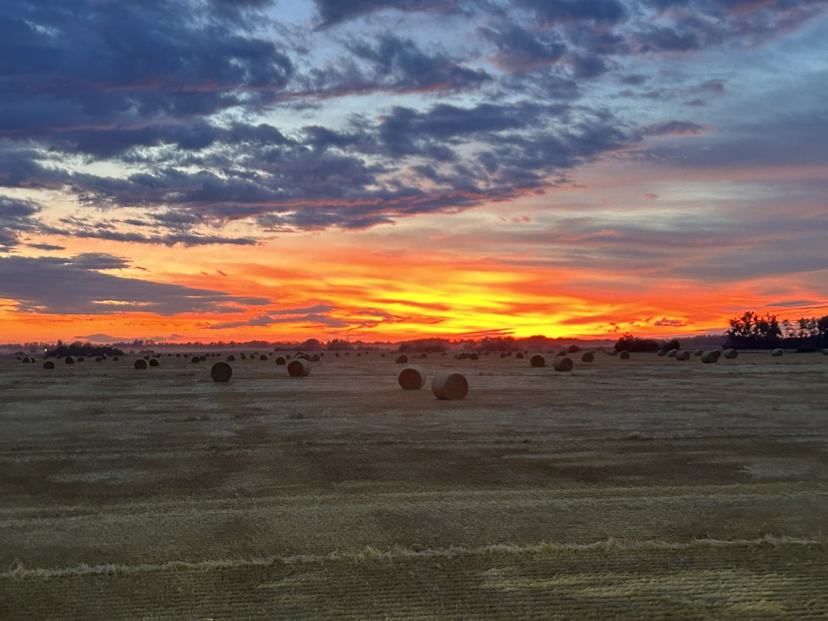 Jeff Nonay tweet media