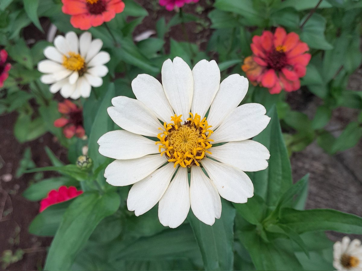 Hadi Rachmat Pradani (@hadirachmat) on Twitter photo 