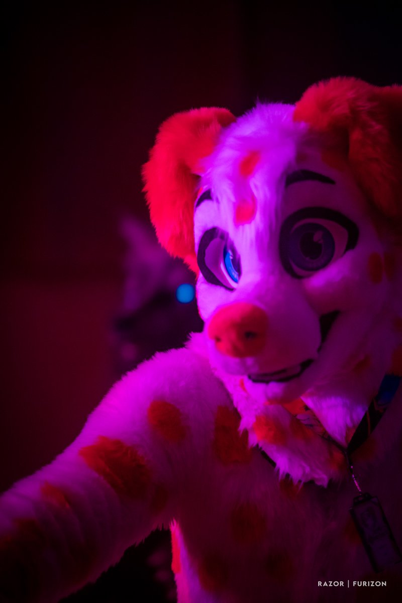 @ludantored.bsky.social (@ludantored) on Twitter photo Let’s dance this #FursuitFriday
📸: <a href="/Razor_Damiano/">RAZOR | Blue Lightbulb 🇮🇹</a>
✂️: <a href="/StuffedTailsFur/">StuffedTailsFursuits |STF|</a> Let’s dance this #FursuitFriday
📸: <a href="/Razor_Damiano/">RAZOR | Blue Lightbulb 🇮🇹</a>
✂️: <a href="/StuffedTailsFur/">StuffedTailsFursuits |STF|</a>