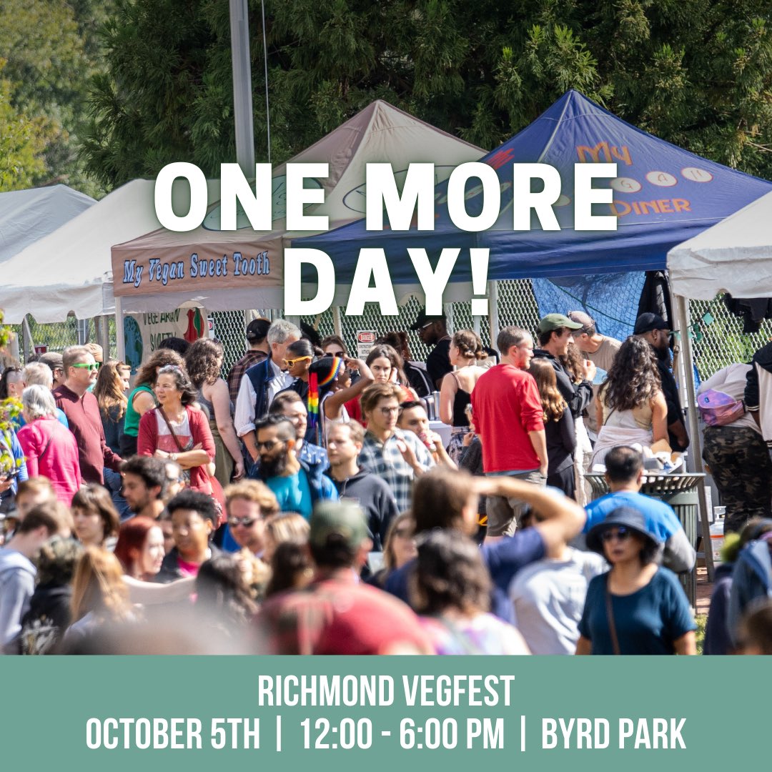 ONE 👏 MORE 👏 DAY 👏

See you tomorrow RVA 🫶

📍Byrd Park (near Dogwood Dell and in front of the Carillon)
⏰ 12-6pm