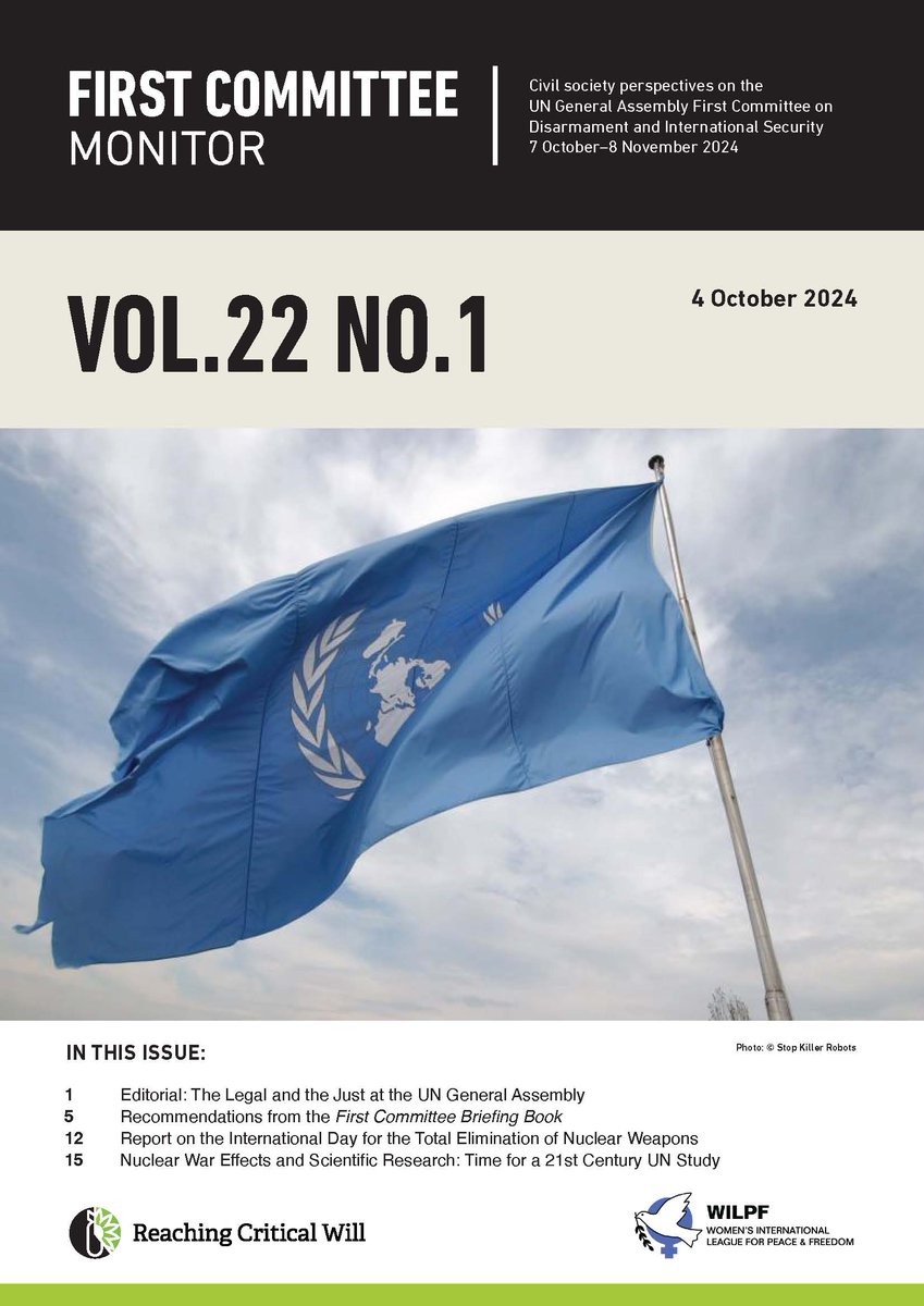 Reaching Critical Will tweet media