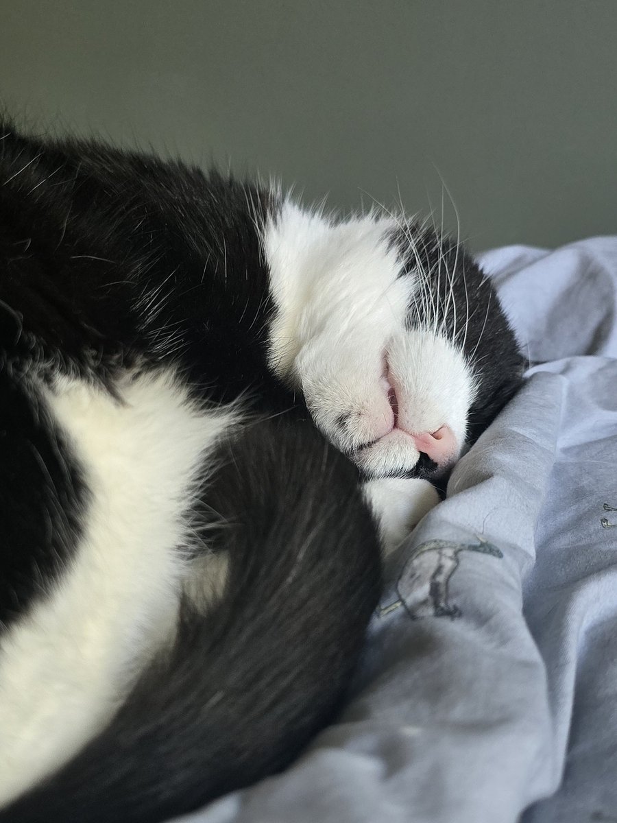 Hunkings That's shuus suu hards rights nuws