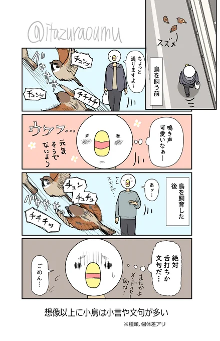 鳥を飼うまで知らなかったこと 
