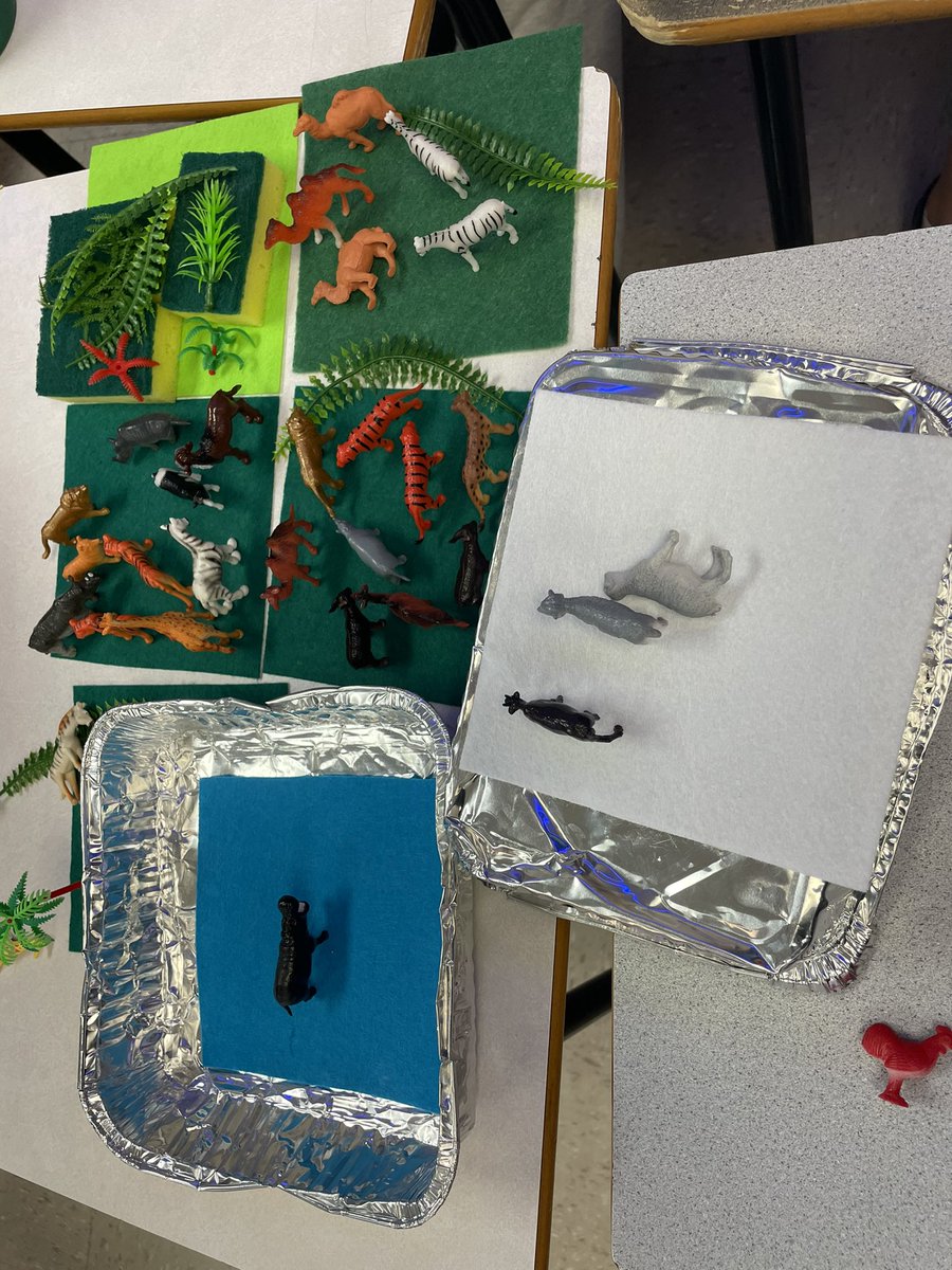 More hands on Science while learning about ecosystems, populations and communities with 7-5 <a href="/VillanovaSchool/">Villanova Jr. High</a>