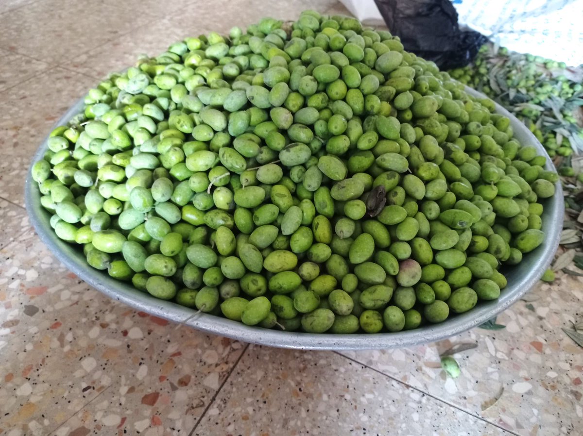 Abubaker Abed tweet media