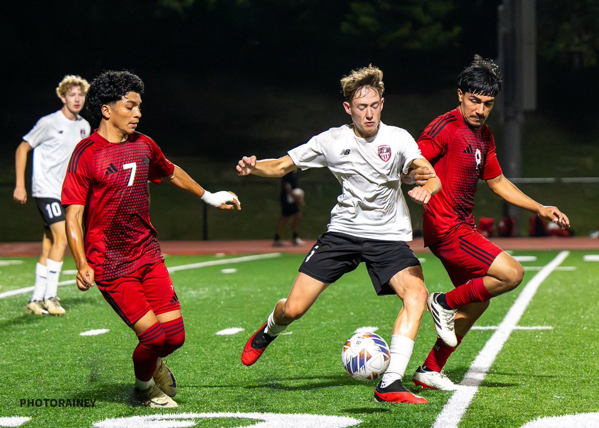 David Rainey tweet media