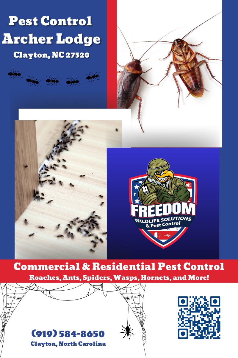 🚨 Pest Problem in Archer Lodge? 🪳🐜

From roaches to ants, spiders to wasps, Freedom Wildlife Solutions &amp; Pest Control has you covered! Commercial &amp; residential services available.

📍 Clayton, NC
📞 (919) 584-8650
#PestControl #ArcherLodge #ClaytonNC #PestFreeLiving