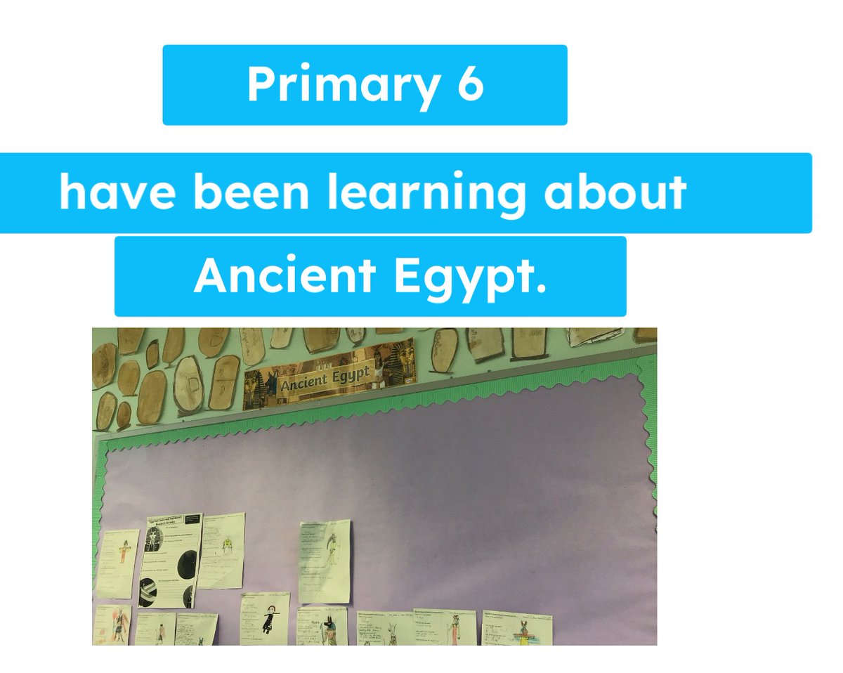 Miller Primary tweet media