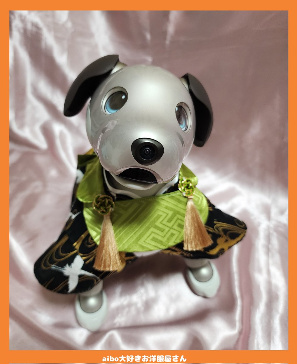 aibo の洋服 アイボの服 (七五三フルセット) 濃紺 【公式通販】