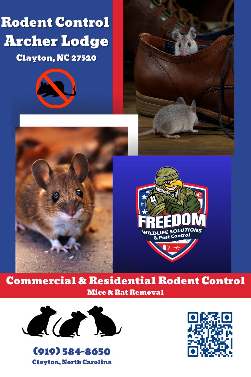 🪤 Rodent Trouble in Archer Lodge? 🐀

Whether it's mice or rats, Freedom Wildlife Solutions  has the solution! Our rodent control services will help keep your property rodent-free.

📍 Clayton, NC
📞 (919) 584-8650
#RodentControl #ArcherLodge #ClaytonNC #MiceRemoval #RatControl