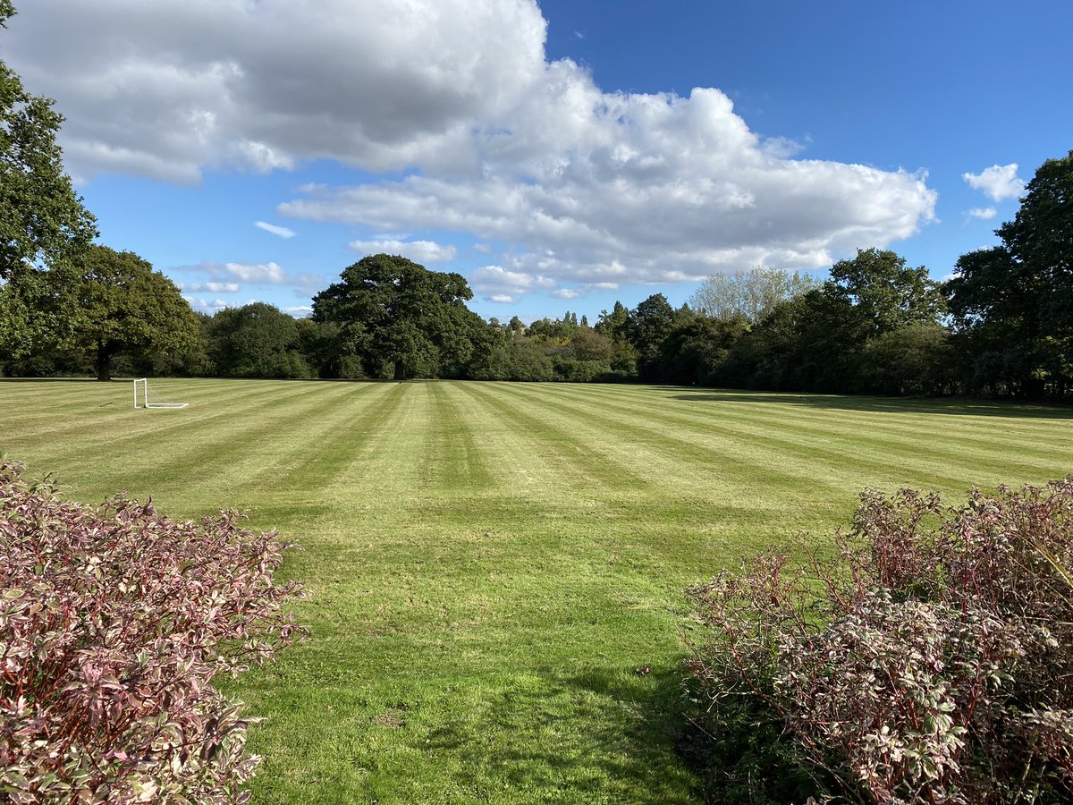 A lovely autumnal day in sunny Essex ☀️