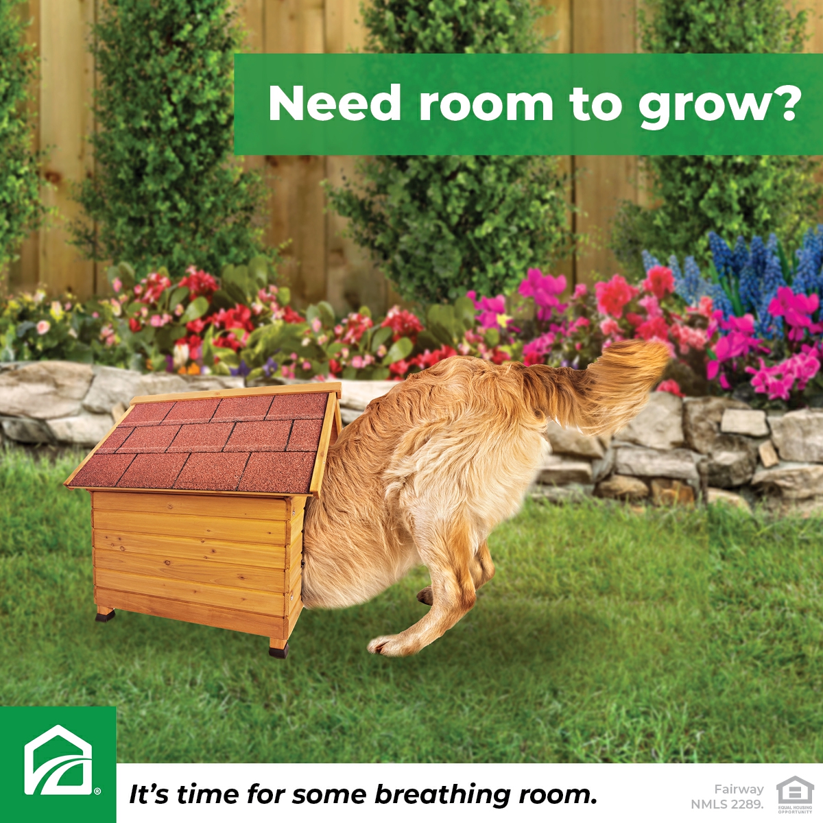 Feeling like your space just isn't cutting it anymore? If you've outgrown your home, it's time for some breathing room! Let's find the perfect mortgage solution to help you upgrade to a home with all the space you need. mtgpro.co/dr/c/00gie