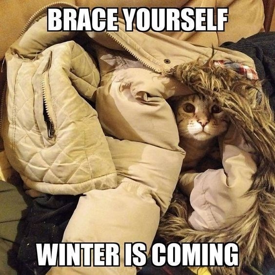 Plumb2u_'s tweet photo. 🌨️ Winter is coming... Are you ready? 

Stay warm and cosy with our heating solutions. From boilers to radiators, we've got everything you need to beat the chill. 

Prepare for winter today and explore our range at https://t.co/a7dFanCQFF! 🔥

#Plumbing #plumb2u #heating #win... https://t.co/HQwFD3N2s8