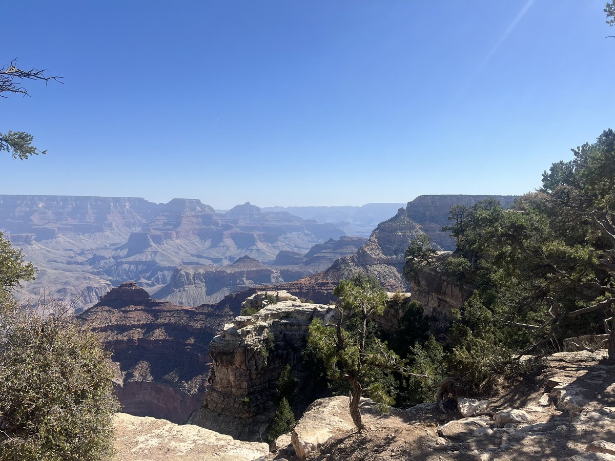 Peter Fallon tweet media