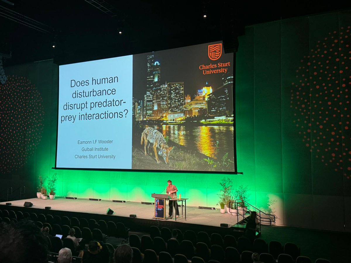 Eamonn Wooster (@eamonn_wooster) on Twitter photo ISBE is a truely special conference. Grateful to <a href="/Gulbali_Inst/">Gulbali Institute</a> for funding this trip and organisers for the ability to present this forthcoming work. #ISBE2024 ISBE is a truely special conference. Grateful to <a href="/Gulbali_Inst/">Gulbali Institute</a> for funding this trip and organisers for the ability to present this forthcoming work. #ISBE2024