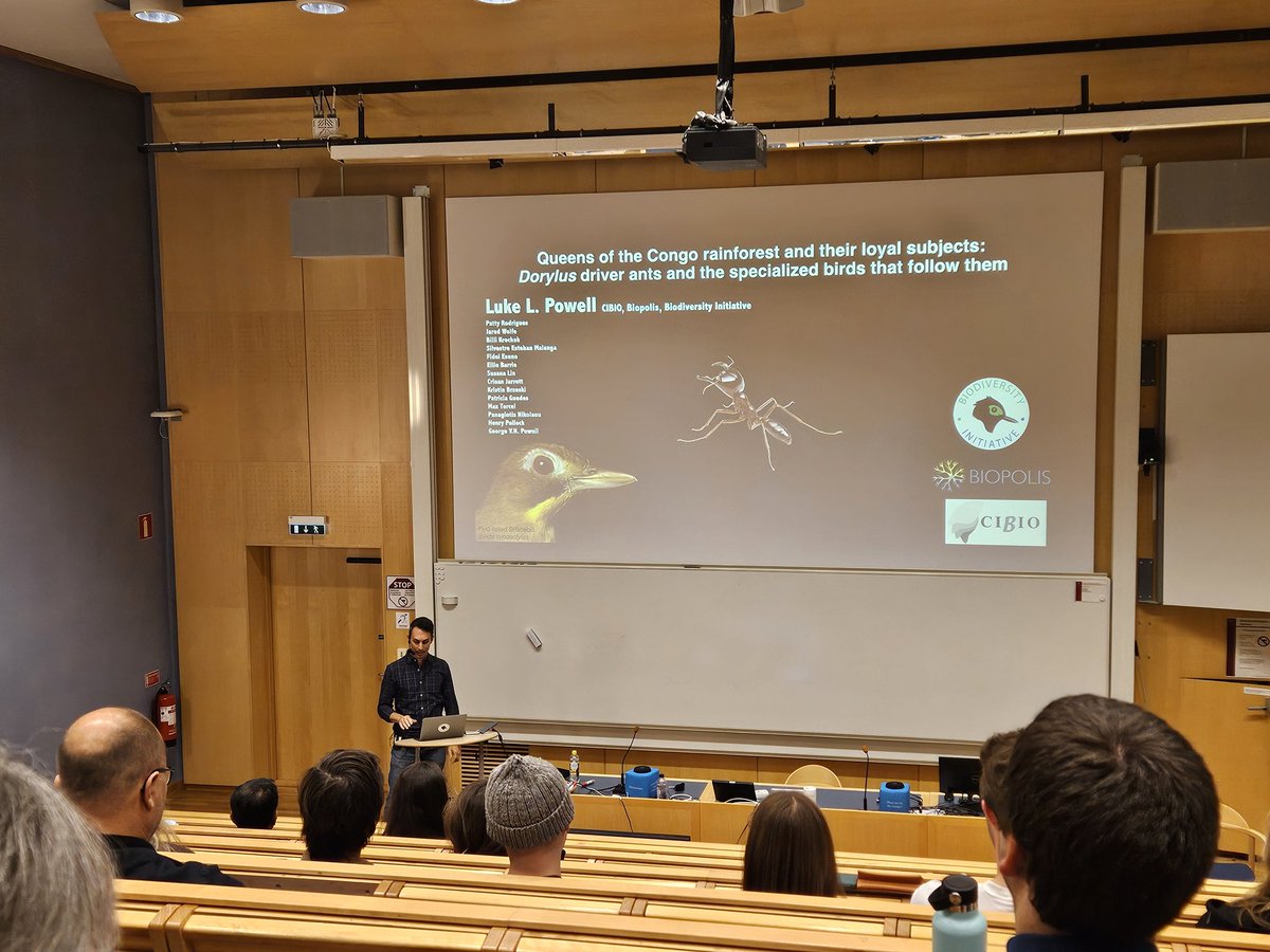 Elin Videvall (@elinvidevall) on Twitter photo .<a href="/LukeLPowell/">Luke L. Powell</a> gives a captivating talk about rainforest ants and the birds that follow them, for the Hemborg lecture at <a href="/AnimEcol_UU/">Animal Ecology Uppsala</a> @UU_University .<a href="/LukeLPowell/">Luke L. Powell</a> gives a captivating talk about rainforest ants and the birds that follow them, for the Hemborg lecture at <a href="/AnimEcol_UU/">Animal Ecology Uppsala</a> @UU_University