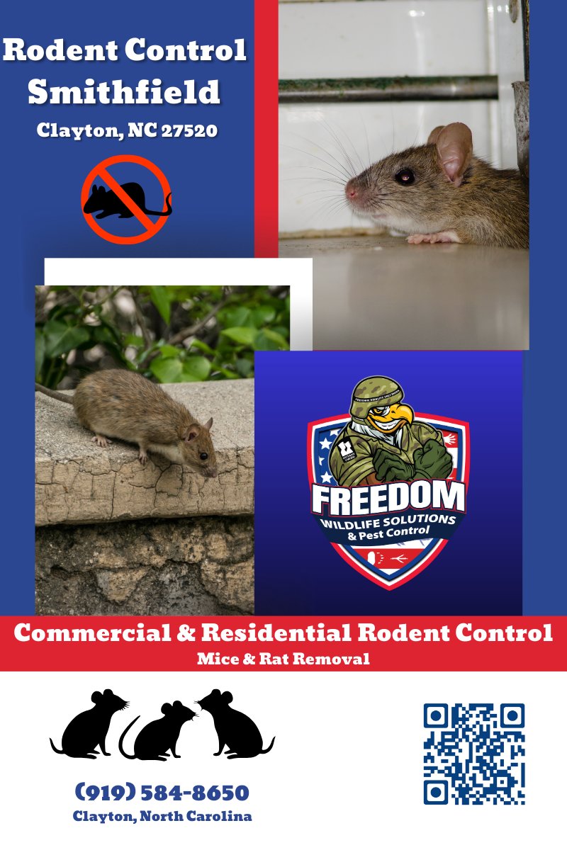 🐭 Rodents invading your space in Smithfield? 🐀

Freedom Wildlife Solutions &amp; Pest Control offers expert commercial &amp; residential rodent control for mice and rats. Get your property protected today!

📍 Clayton, NC
📞 (919) 584-8650
#RodentControl #SmithfieldNC #PestControl