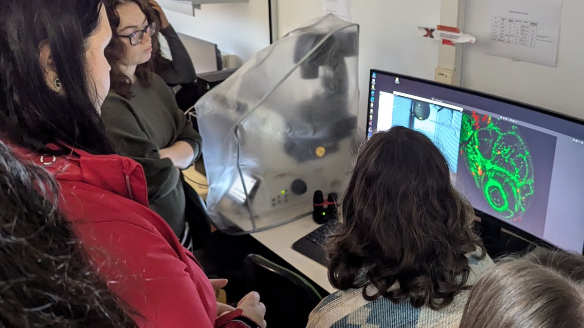 IIM_CSIC's tweet photo. #VisitasEscolaresaoIIM 🇩🇪 | Esta semana tivemos o pracer de recibir a un grupo de Bacharelato de #Biotecnoloxía de Alemaña! 

🌍🔬 No marco do Programa #Erasmus @ColegioHogar, exploraron as nosas instalacións e aprenderon sobre #ciencia. 

Grazas por visitarnos! https://t.co/JCnM4w8yBf