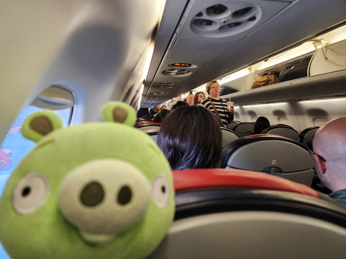 Steven Judd tweet media