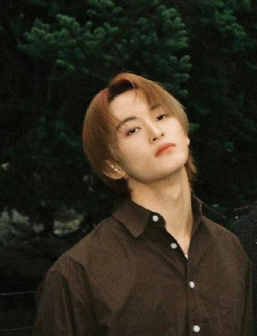 joyfulmarkly's tweet photo. ᝰ.ᐟ📸 https://t.co/tFvddRKmUp