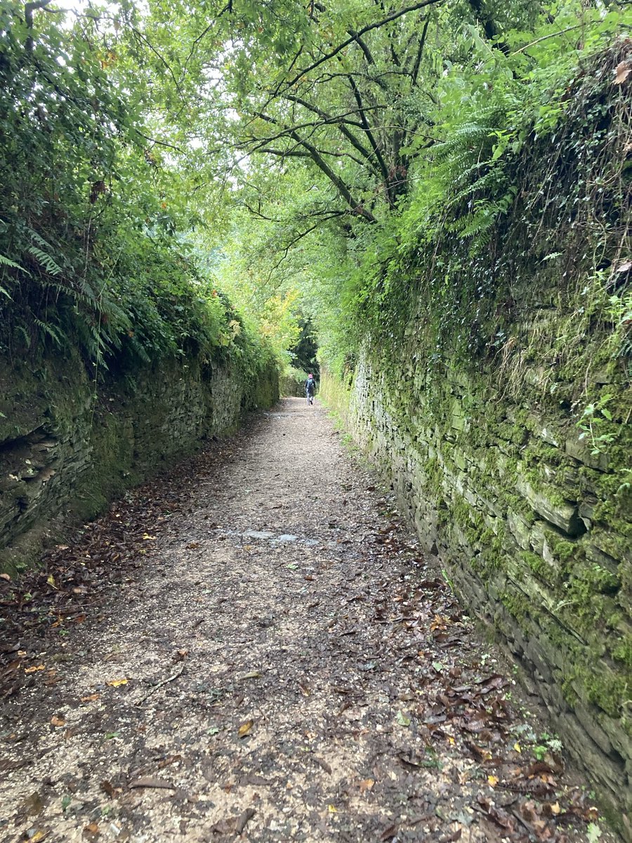 jarzoz's tweet photo. Caminante no hay camino, se hace camino al andar…. precioso poema de Antonio Machado cantado por Serrat. Siempre que lo escucho me pone la piel chinita y me hace reflexionar. https://t.co/Ijqp7fBiGY