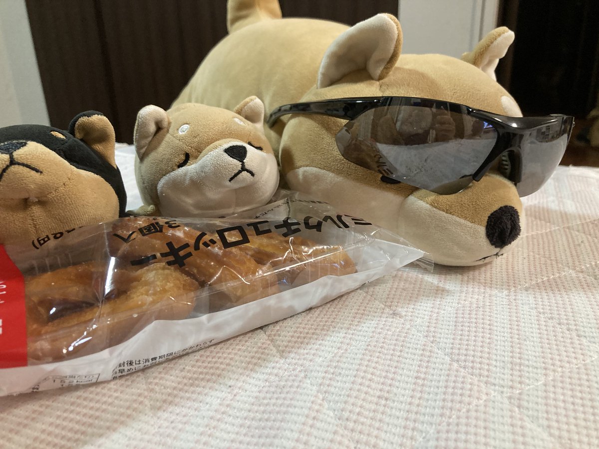 サングラス買ってもらったぜ！
悪の組織ワンワンズだぜぇ

#リブハート
#りぶはあと
#ねむねむアニマルズ 
#ぬい活
#ぬいぐるみじゃありません家族です
#ぬい撮り