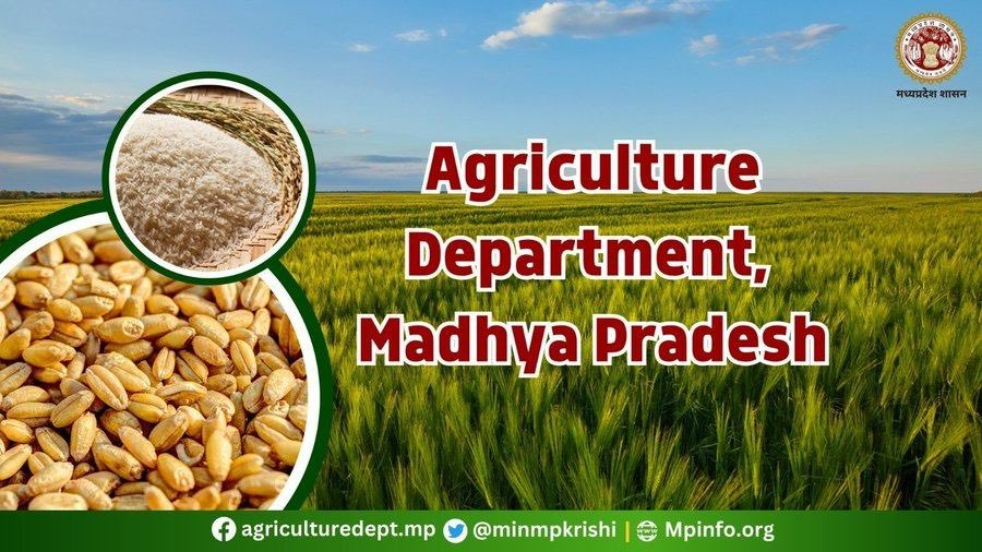 minmpkrishi's tweet photo. खरीफ विपणन वर्ष 𝟐𝟎𝟐𝟒-𝟐𝟓 में #समर्थन_मूल्य पर धान, ज्वार एवं बाजरा उपार्जन के लिए #पंजीयन की अवधि बढ़ाकर अब 𝟏𝟒 अक्टूबर तक कर दी गई है। 

पहले यह अवधि 𝟒 अक्टूबर तक थी, जिसे किसानों की सुविधा के लिए और बढ़ाया गया है।

#Registration #farmers 
#MSP #msp_price
#धान_ज्वार_बाजरा https://t.co/yxiiiIRtTF