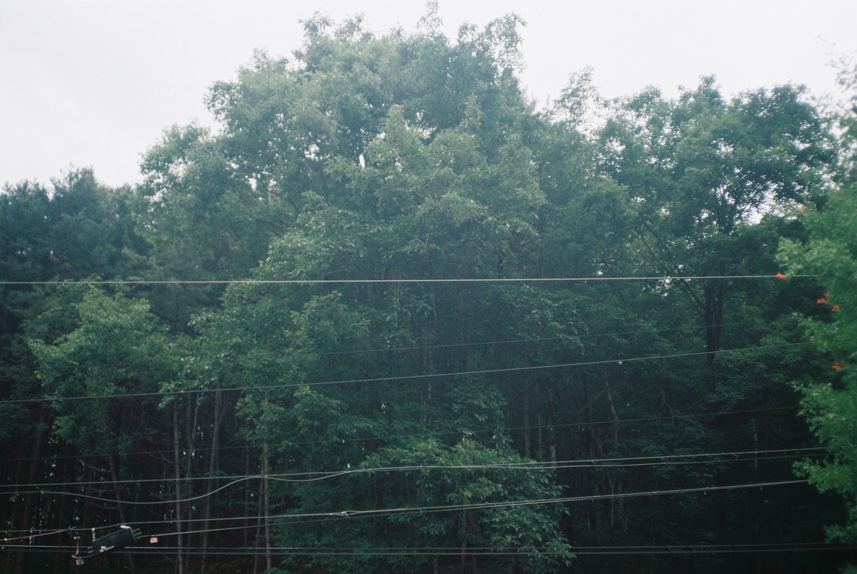 NCT DREAM tweet media