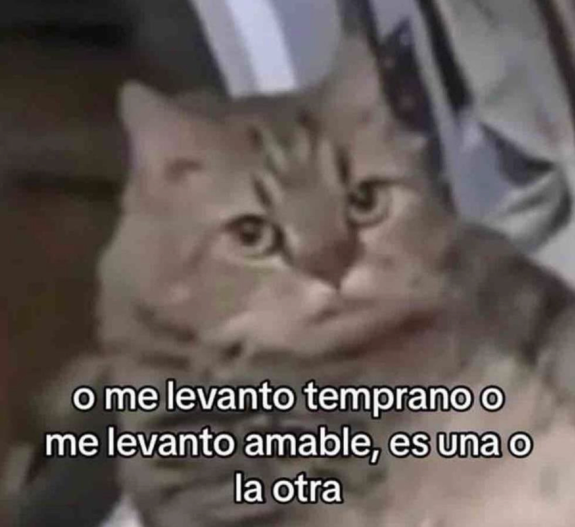 Guarromantico_'s tweet image. No hay de otra.