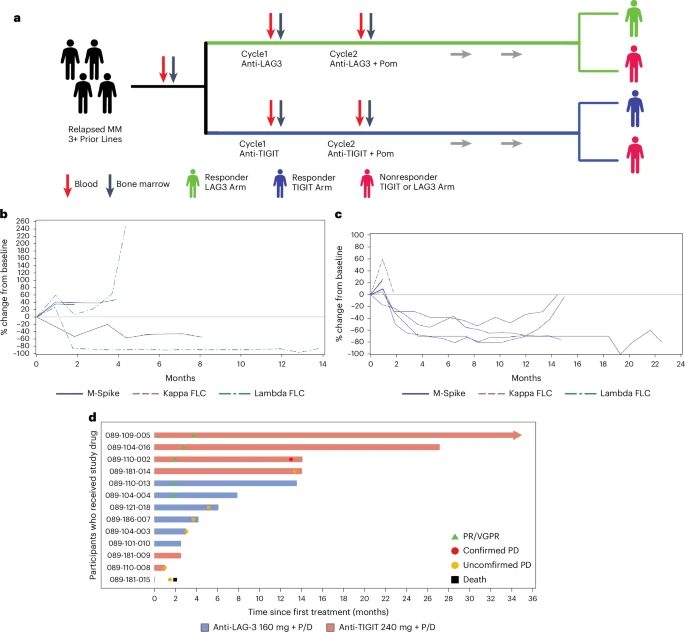 MSKLibrary's tweet photo. Featured today by @MSKLibrary: Clinical response and pathway-specific correlates following TIGIT-LAG3 blockade in myeloma: the MyCheckpoint randomized clinical trial
#ClinicalTrial #CancerPathways #OncologyResearch #TIGIT #MyelomaResearch
@mpianko @BiranNoa @ravivij @HJChoMDPhD1
https://t.co/afSasGWzFG