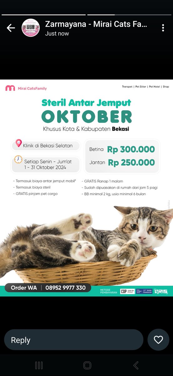 Yoonahsnh's tweet photo. Halo halooo! Temenku @zarmayana Mirai Cats Family ada available slots lagi niiihh untuk steril bulan Oktober 2024! Cek cekkk π«Άπ«Ά
#ProSteril #ProVet #ProVaksin
Selengkapnya ππππ https://t.co/MMOJMrDml1