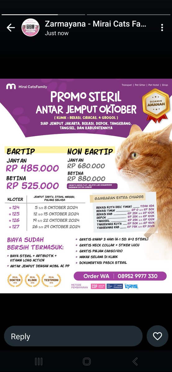 Yoonahsnh's tweet photo. Halo halooo! Temenku @zarmayana Mirai Cats Family ada available slots lagi niiihh untuk steril bulan Oktober 2024! Cek cekkk π«Άπ«Ά
#ProSteril #ProVet #ProVaksin
Selengkapnya ππππ https://t.co/MMOJMrDml1