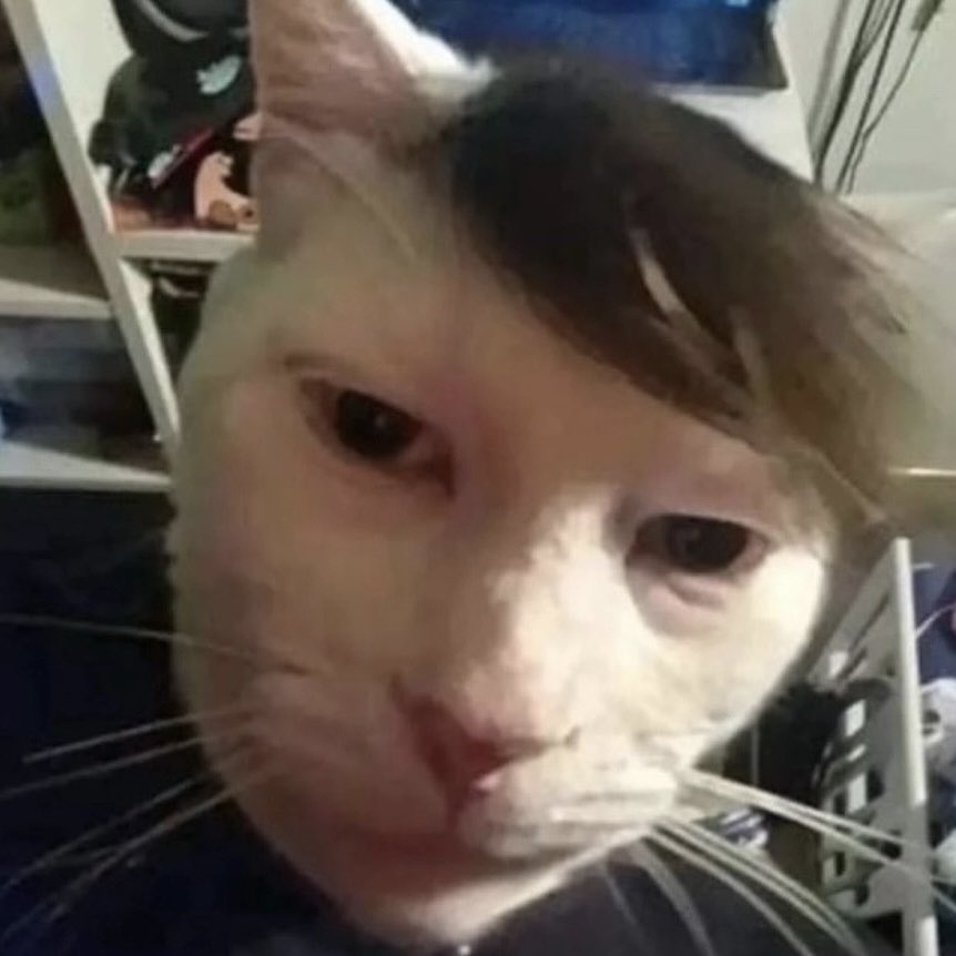 หล่อเท่heyโย่bro