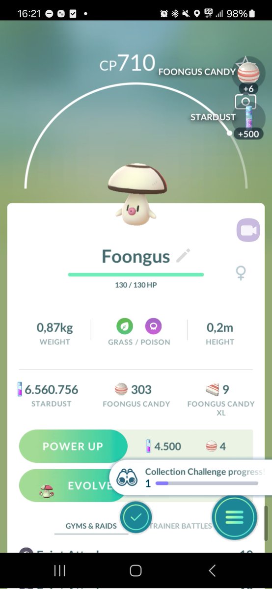 Jacquesblogger2's tweet photo. Yes cute catch.
#pokemongo #pokemon #pokemonNL #pokemonNederlands #pokemonNederland #pokemongoNL #pokemongoNederland #pokemongoNederlands #groningen #jacquesblogger #jacquesblogger2 #assen #Groningen #Drenthe https://t.co/H8zyvM5PO7