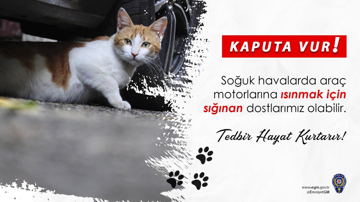 Türk Polis Teşkilatı tweet media