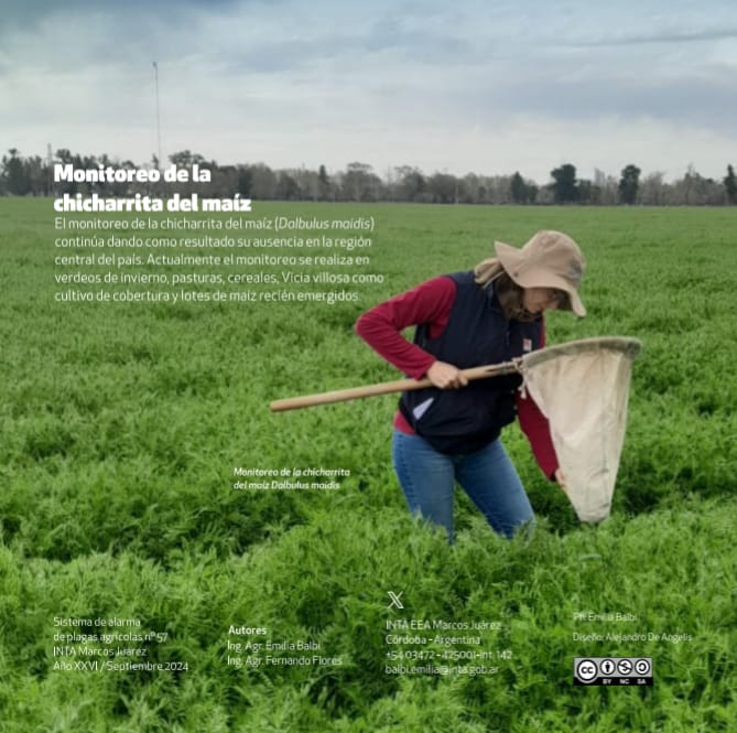 🪲¡ALARMA DE PLAGAS Nº 57!

🪲Trabajo completo: bit.ly/iapsp24

<a href="/INTAMsJuarez/">INTA Marcos Juárez</a> 
<a href="/emilia_balbi/">Emilia Balbi</a>