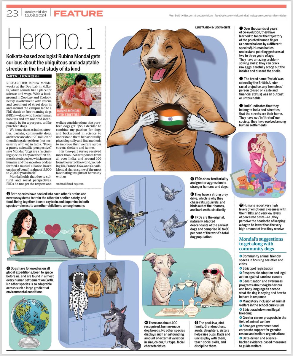 Dr Rubina Mondal (@sniffsbarkswags) on Twitter photo A recent article covering my research on adopted #streetdogs of India and fascinating insights into the complex lives of street dogs by Dog Lab, IISER Kolkata <a href="/Abhadra7/">Anindita Bhadra</a> in <a href="/sundaymidday/">Sunday Midday</a> 🐶🐶🐶
DM for pdf of the same!
#streetdogs #WomenInScience #Indies #DogLab #dogs A recent article covering my research on adopted #streetdogs of India and fascinating insights into the complex lives of street dogs by Dog Lab, IISER Kolkata <a href="/Abhadra7/">Anindita Bhadra</a> in <a href="/sundaymidday/">Sunday Midday</a> 🐶🐶🐶
DM for pdf of the same!
#streetdogs #WomenInScience #Indies #DogLab #dogs