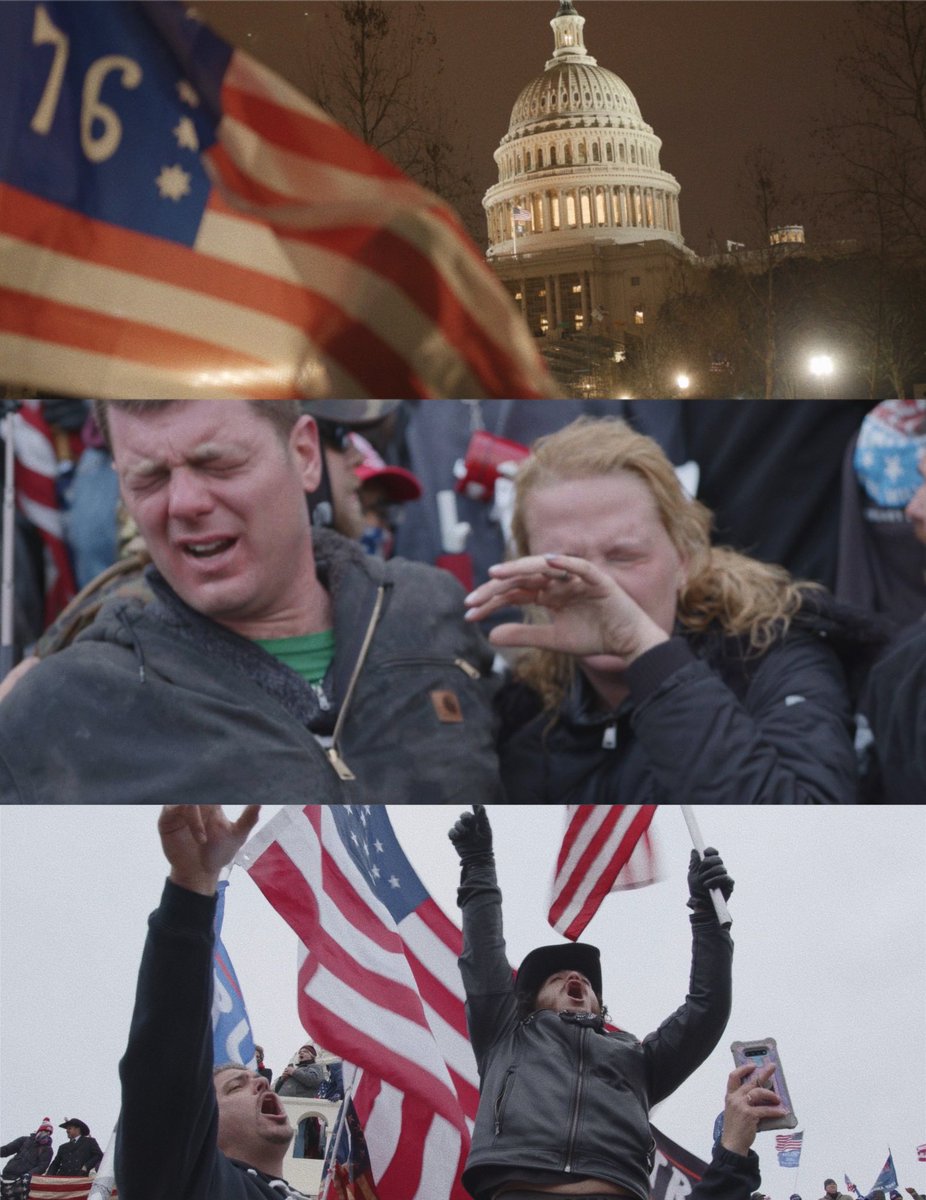 Real Life Cinema tweet media