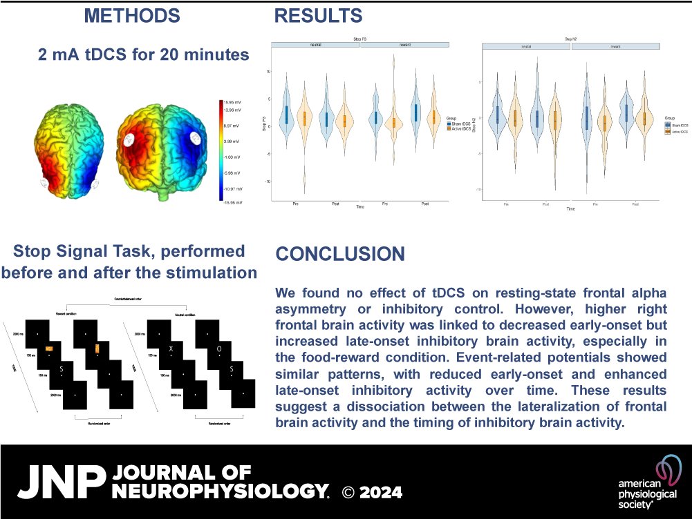 JNeurophysiol's tweet photo. 🔓#OpenAccess "The relationship between #FrontalAlphaAsymmetry and behavioral and brain activity indices of #ReactiveInhibitoryControl" by Atakan M. Akil et al.
https://t.co/rS9hVdueMc
@nagyt #TranscranialDirectCurrentStimulation #StopSignalTask https://t.co/dWpqyRiZNt