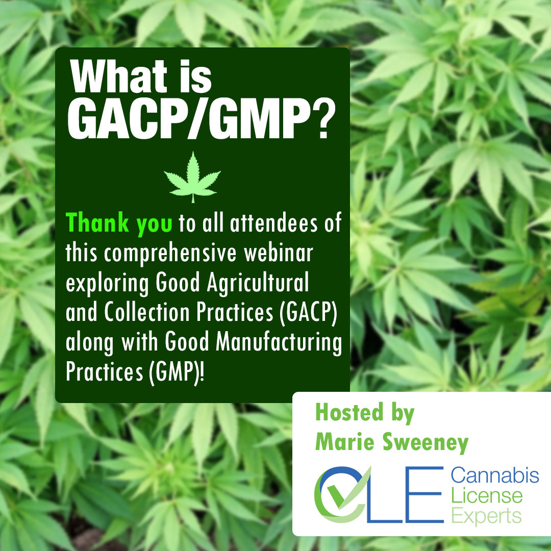 Industry expert Marie Sweeney explores what Good Agricultural and Collection Practices, and Good manufacturing Practices are &amp; what they mean to the cannabis industry. A must-see webinar for cannabis businesses.
streamyard.com/mua2mjy547s3
#cannabis #cannabislicenseexperts