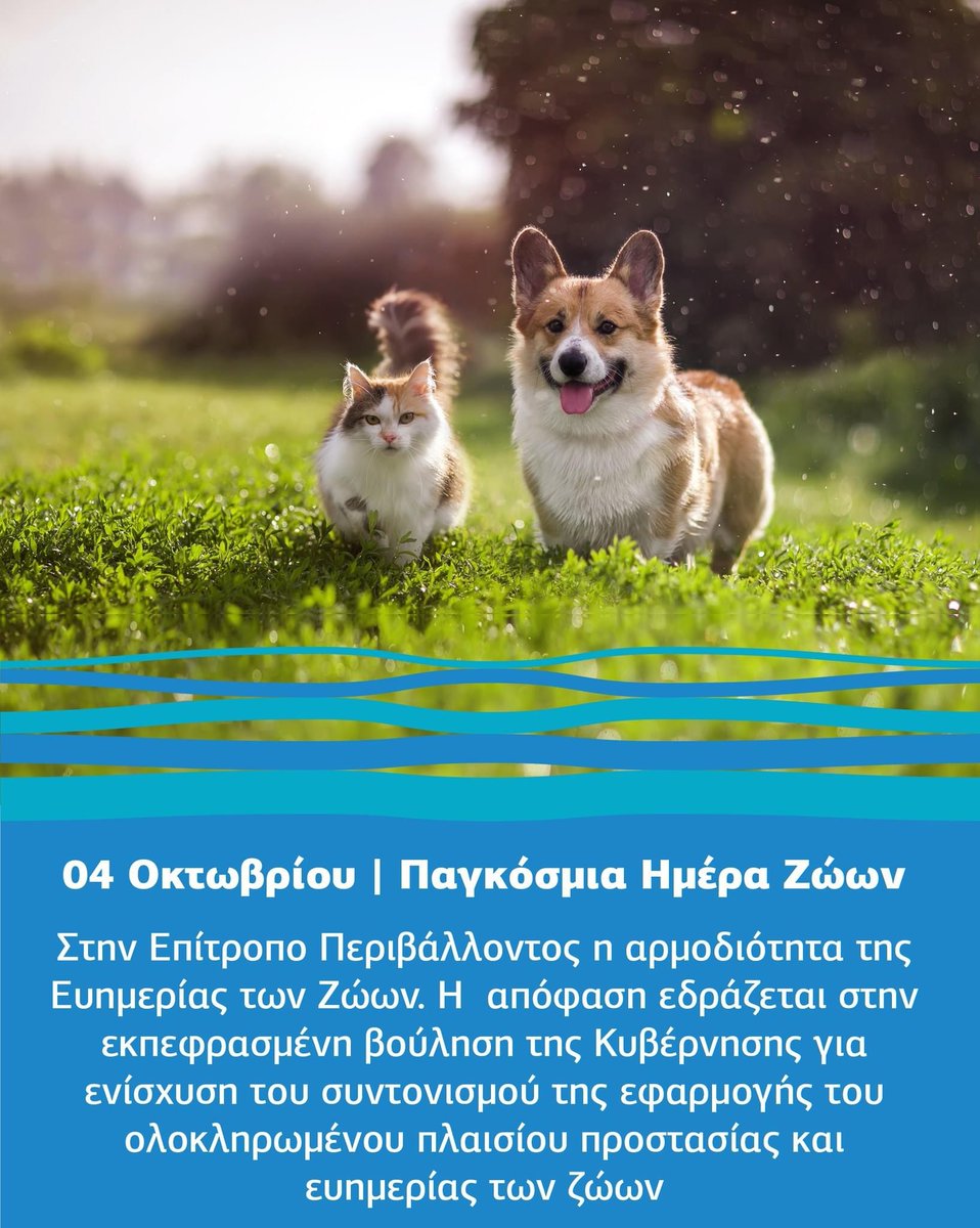 Γραφείο Επιτρόπου Περιβάλλοντος (@envirocommcy) on Twitter photo 🟣" Οι άνθρωποι, τα ζώα, η φύση, το κτιστό και άυλο περιβάλλον, οι φυσικοί πόροι, τα οικοσυστήματα, αποτελούν όλα, ως ενιαίο σύνολο, το περιβάλλον μας"
Ανακ. Προεδρίας🔗t.ly/9R_gy
Ανακ. Επιτρόπου Περιβάλλοντος και Ευημερίας των Ζώων 🔗t.ly/zCkA6 🟣" Οι άνθρωποι, τα ζώα, η φύση, το κτιστό και άυλο περιβάλλον, οι φυσικοί πόροι, τα οικοσυστήματα, αποτελούν όλα, ως ενιαίο σύνολο, το περιβάλλον μας"
Ανακ. Προεδρίας🔗t.ly/9R_gy
Ανακ. Επιτρόπου Περιβάλλοντος και Ευημερίας των Ζώων 🔗t.ly/zCkA6