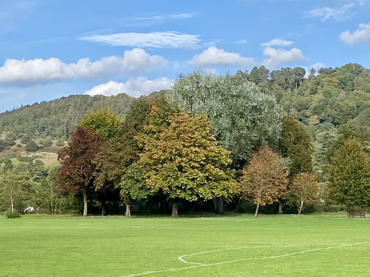 Louise 💙 tweet media