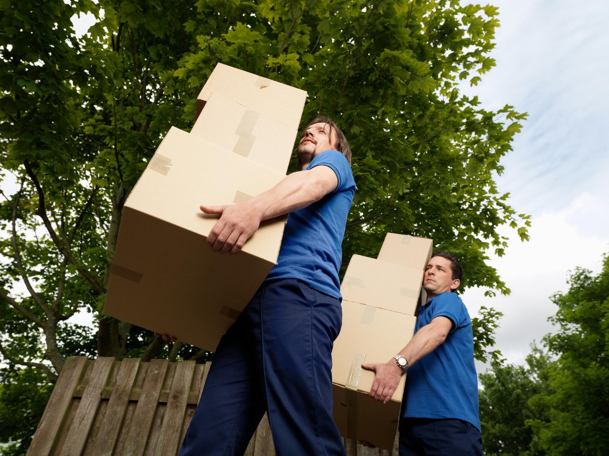 StorageManage's tweet image. Make your move easier with our comprehensive range of moving and packing supplies. We have everything you need to pack efficiently and securely. #MovingSupplies #PackingMadeEasy #EfficientMove 📦🚚